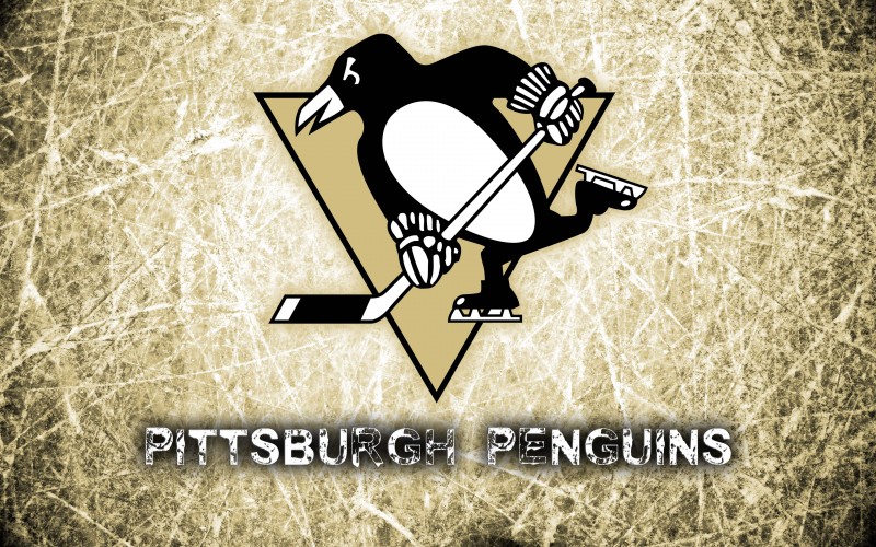 Name Pittsburgh Penguins 2014 Logo Wallpaper 800x500