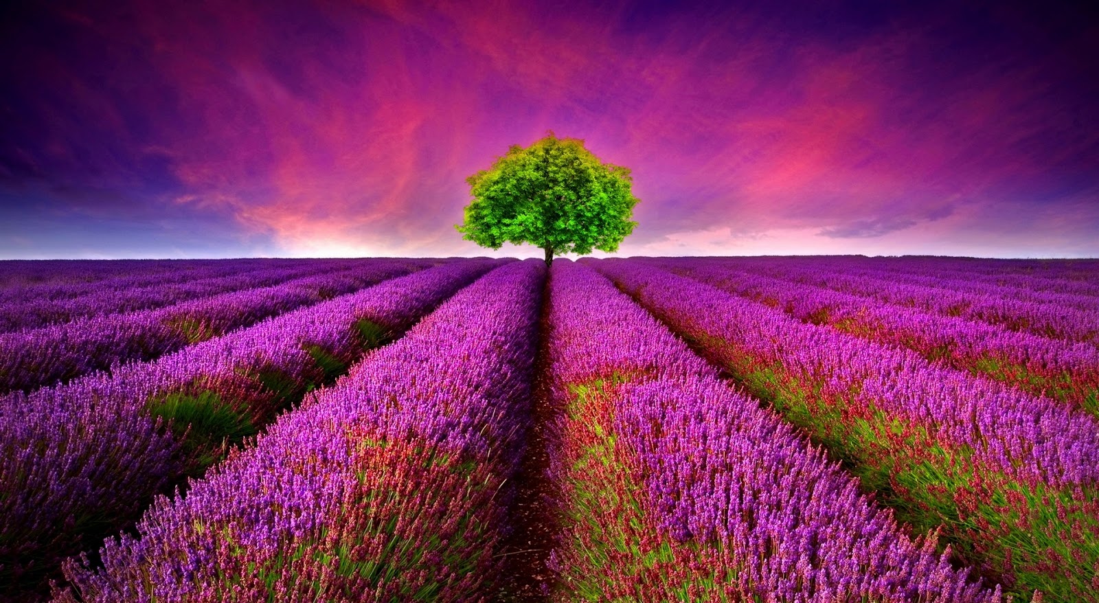Beautiful Nature Wallpaper Collection