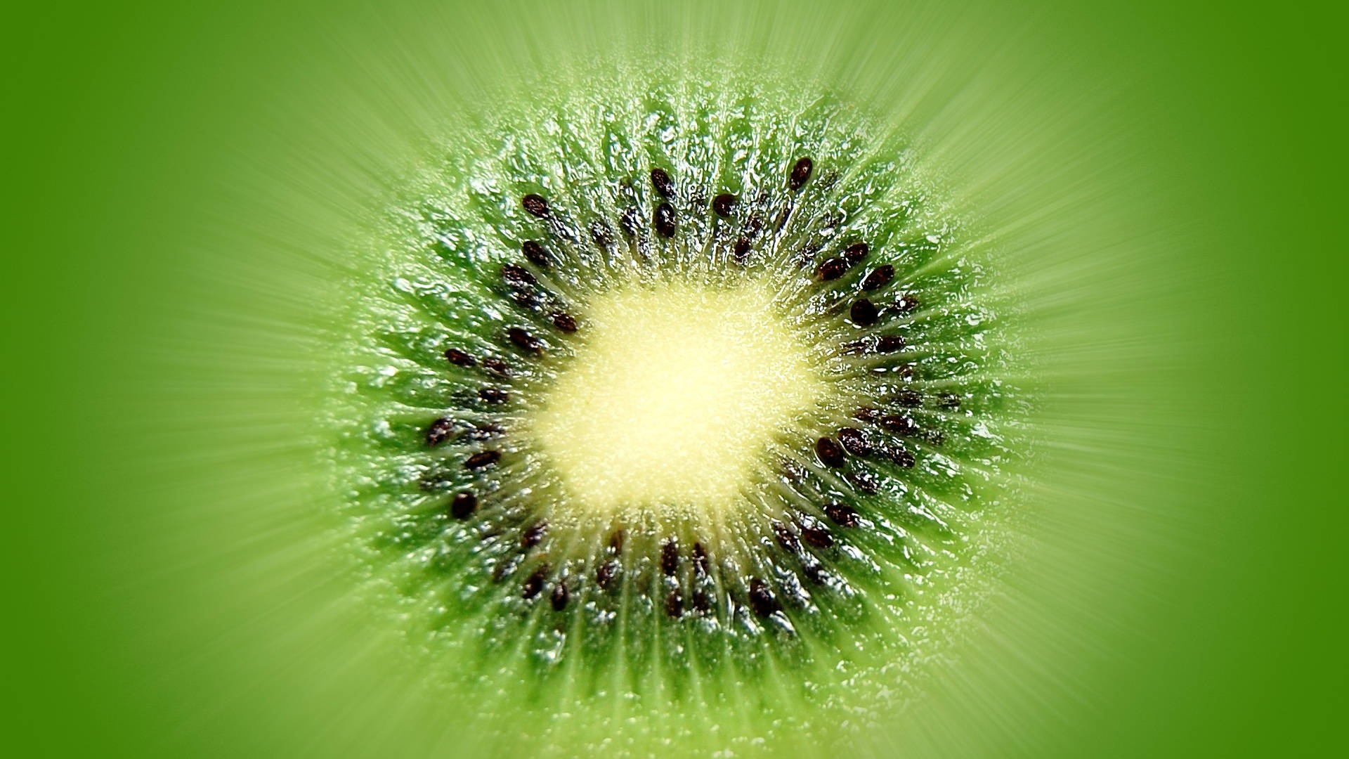 Top Kiwi Wallpaper Full HD 4k To Use