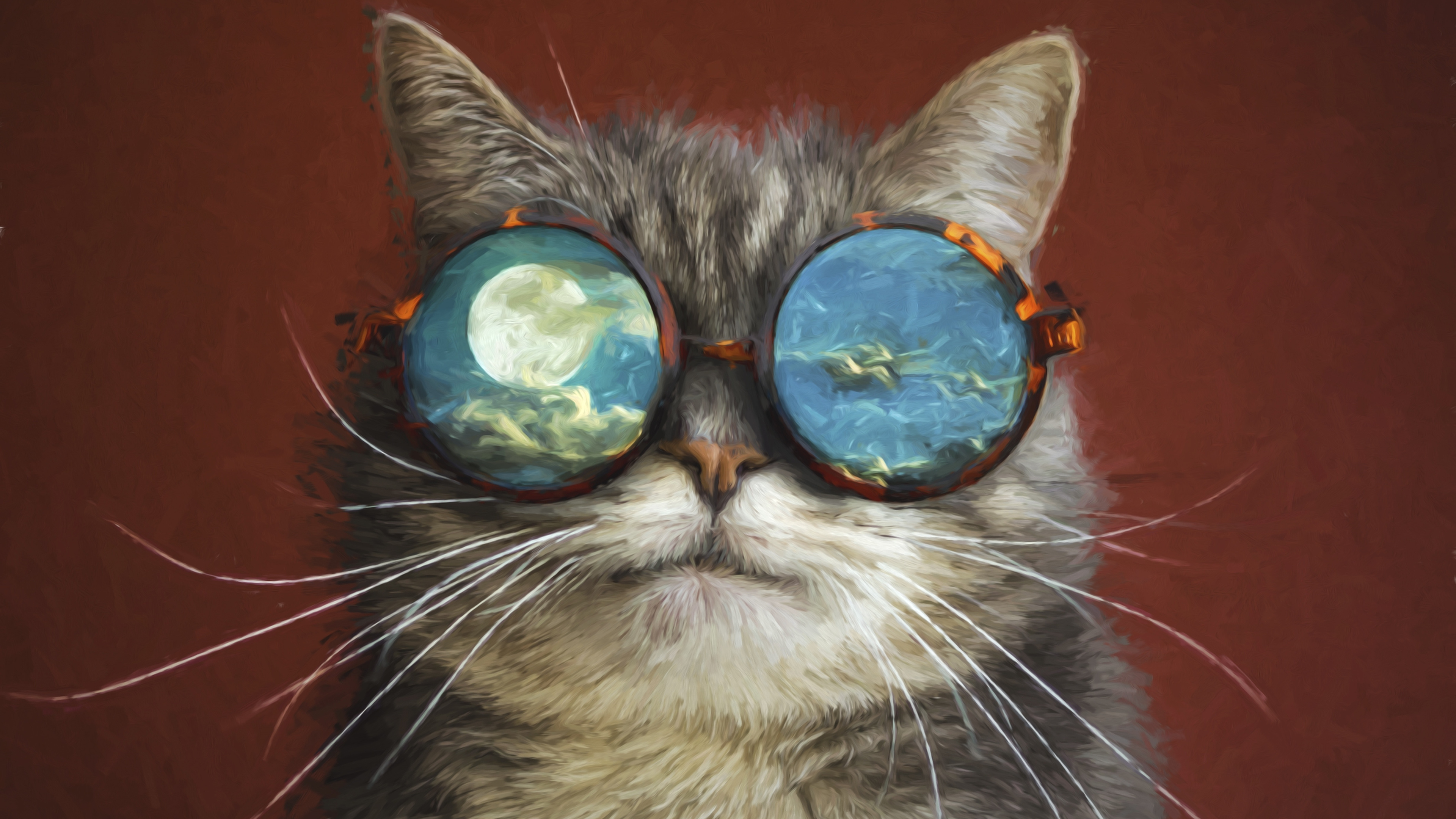 Artistic Cat 4k HD Wallpaper Image Photos