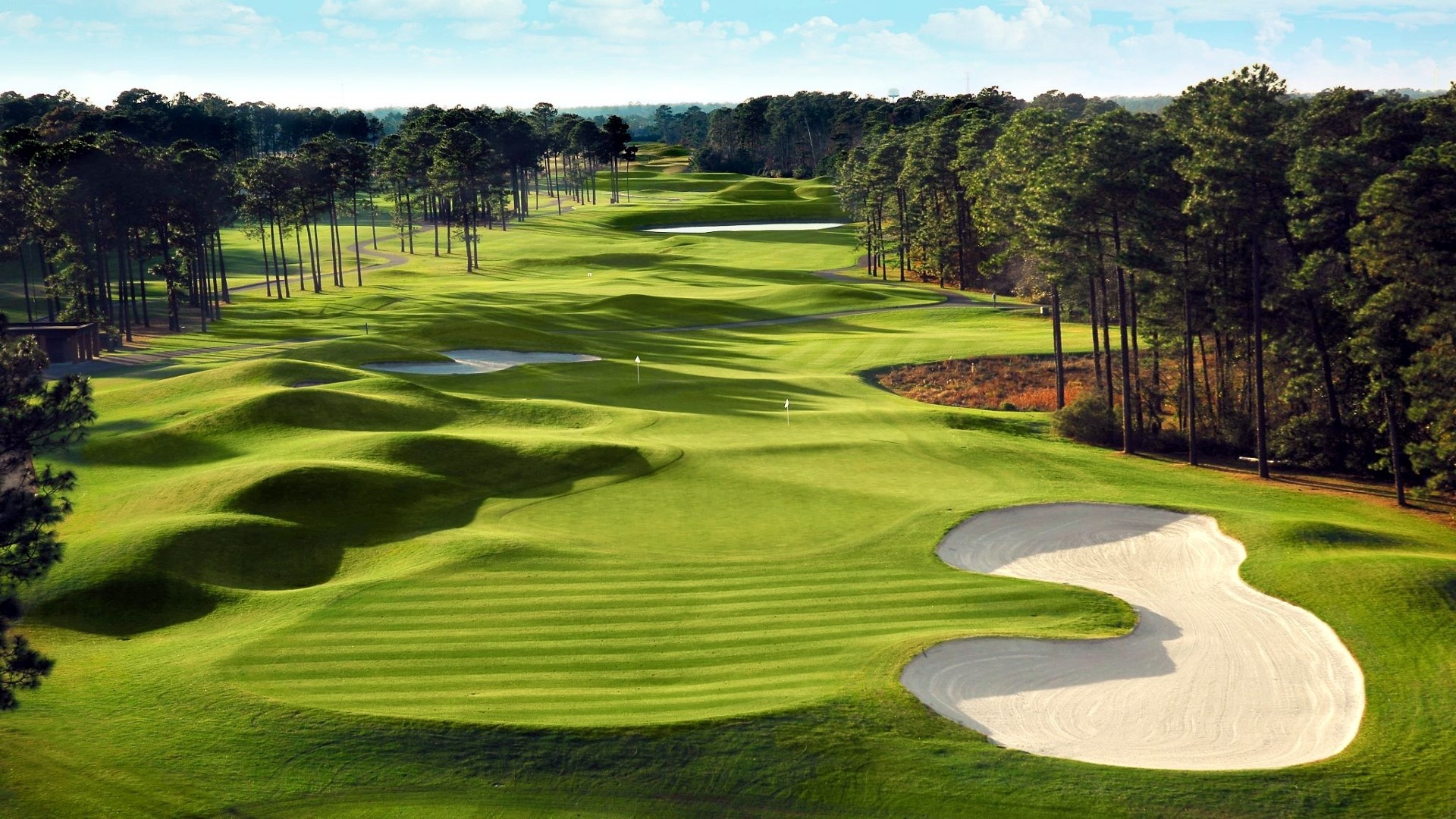 Green Golf Course Courses Fields Nature Wallpaper