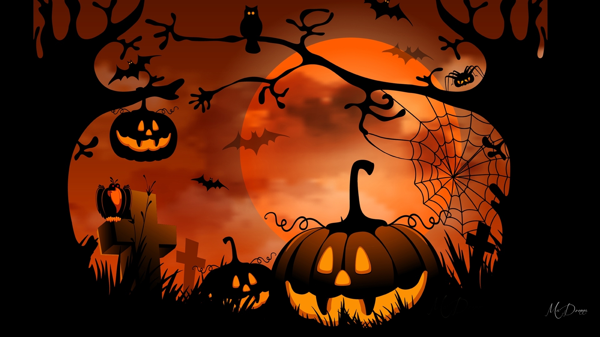 Owls And Spiders Bats Oh My HD Wallpaper Background Image