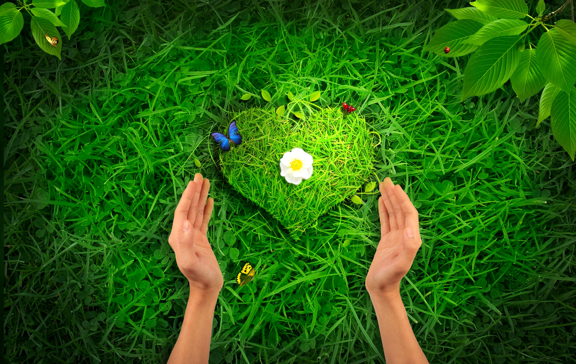 Desktop HD Wallpaper Beautiful High Resolution