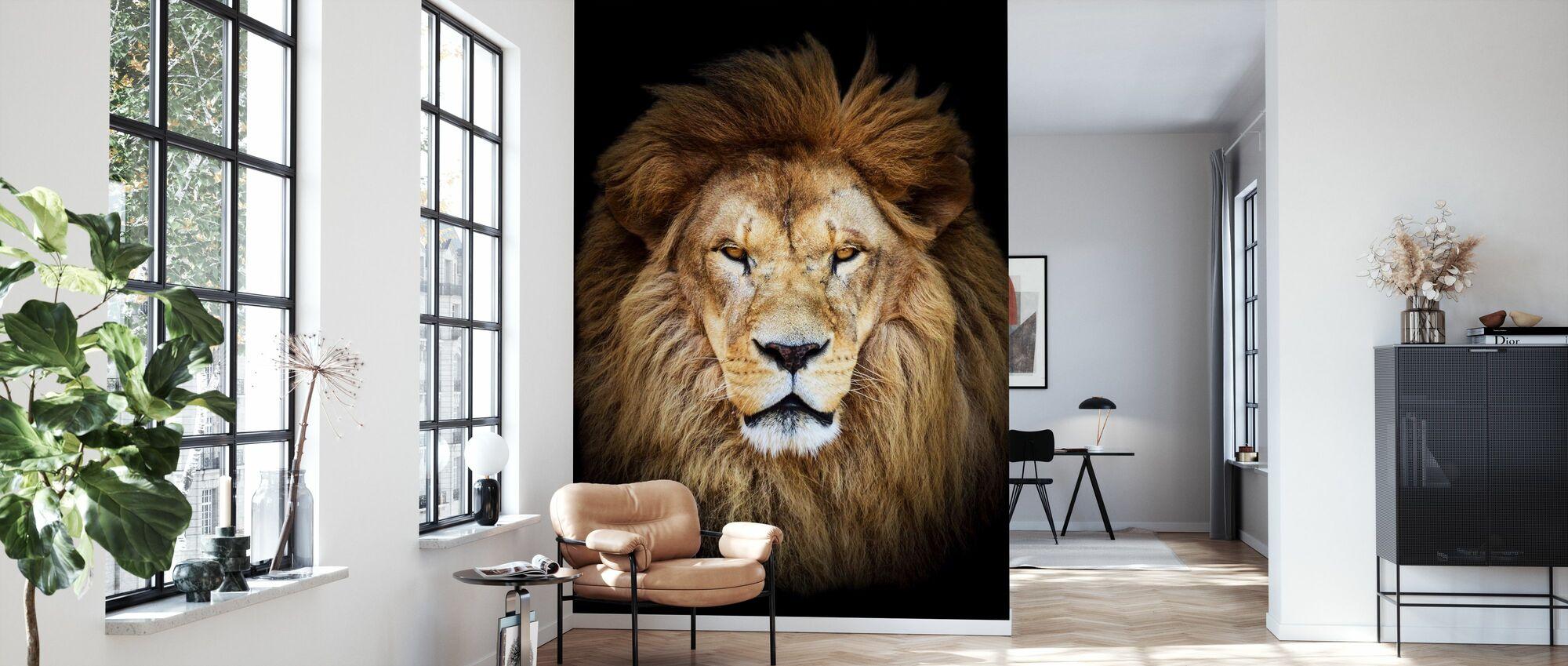 Majestic Lion affordable wall mural Photowall