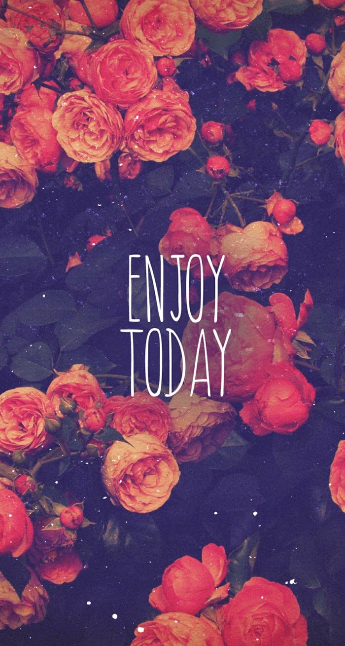 Enjoy Today Red Roses iPhone Plus HD Wallpaper Ipod