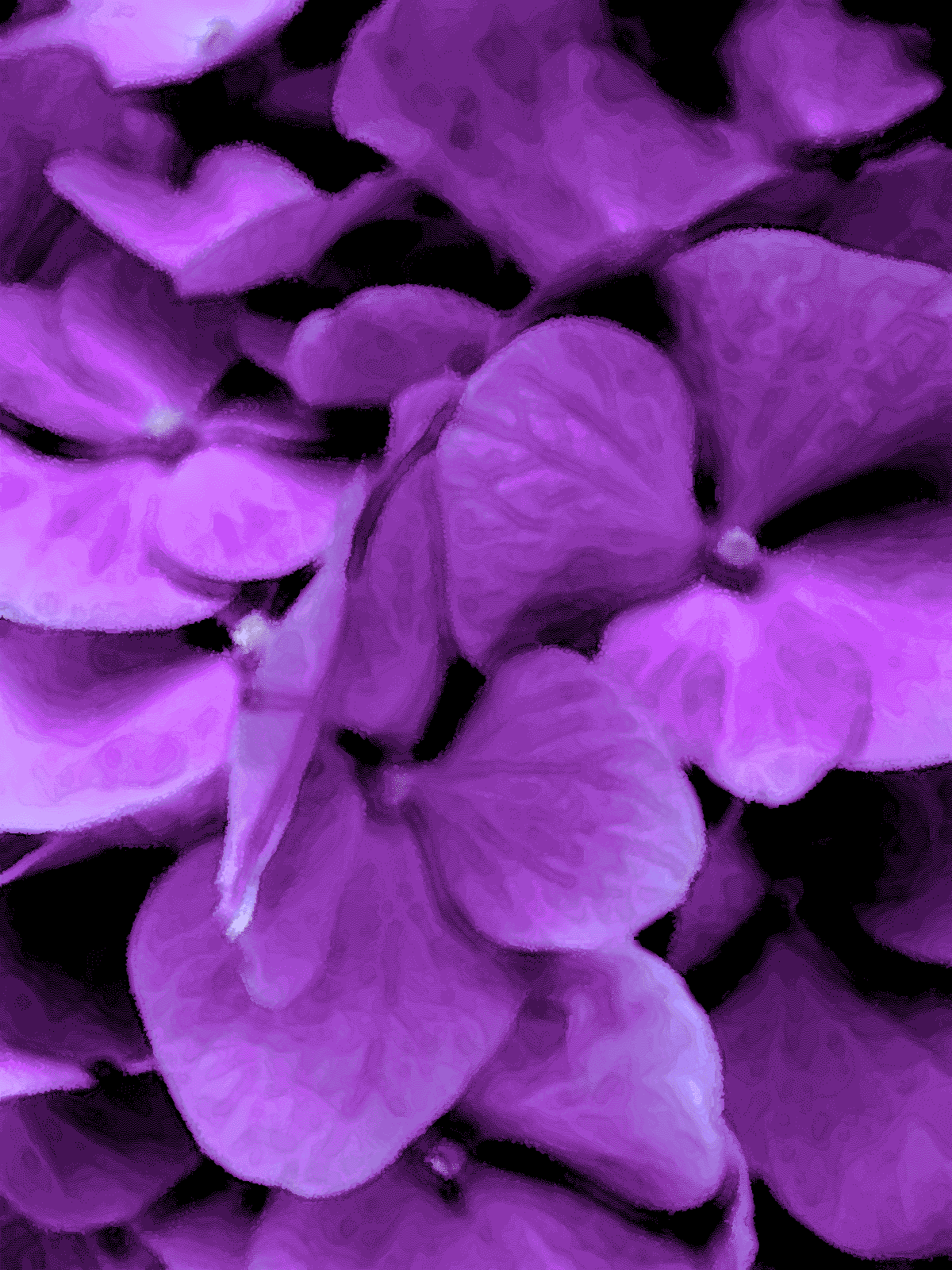 Purple Flowers Stationary Stationery