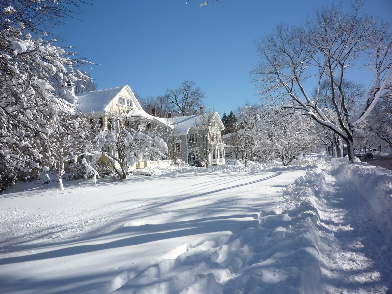 Classic New England Winter Scenes