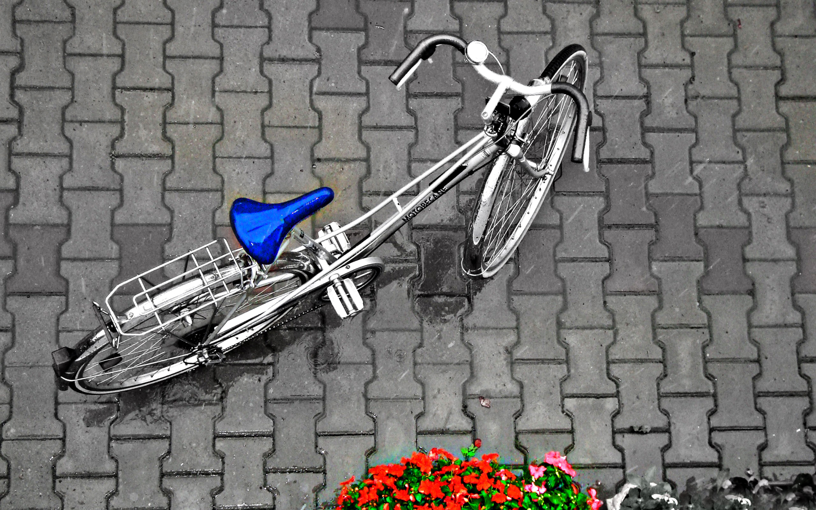 Vintage Bicycle Photography HD Wallpaper Desktop