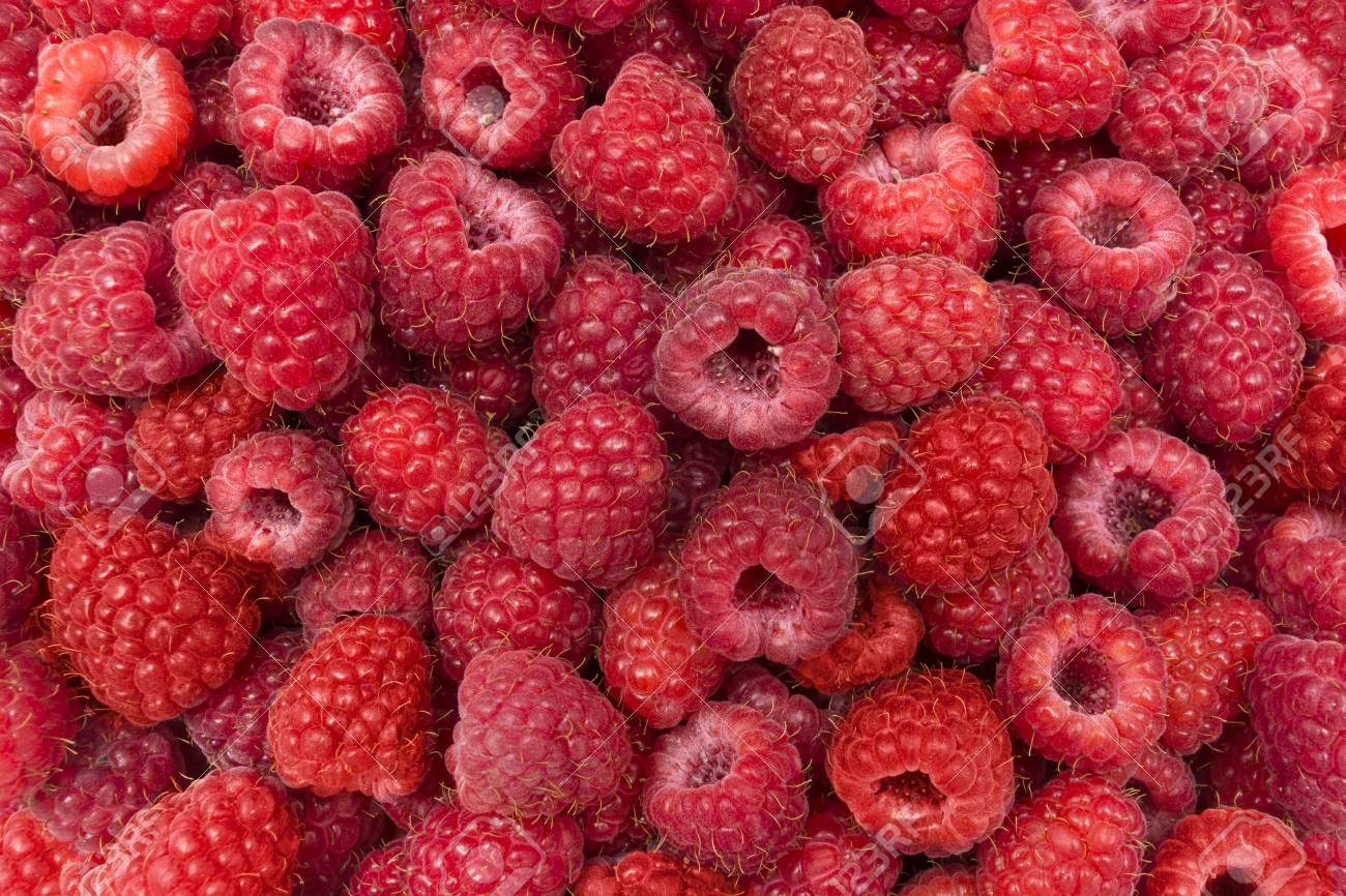 Juicy Fresh Raspberries And Raspberry Background Stock Photo