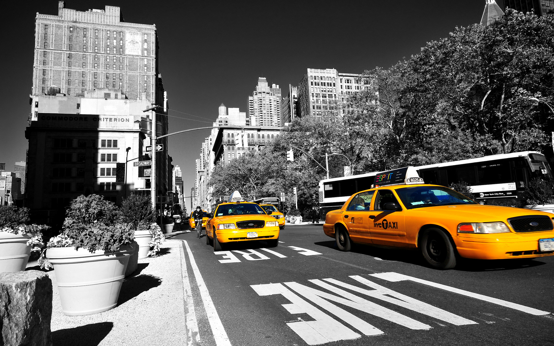 File New York Taxi Hqfx Jpg Ken Holivia