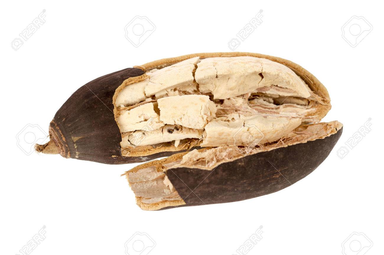 Baobab Fruit On A White Background Stock Photo Picture And