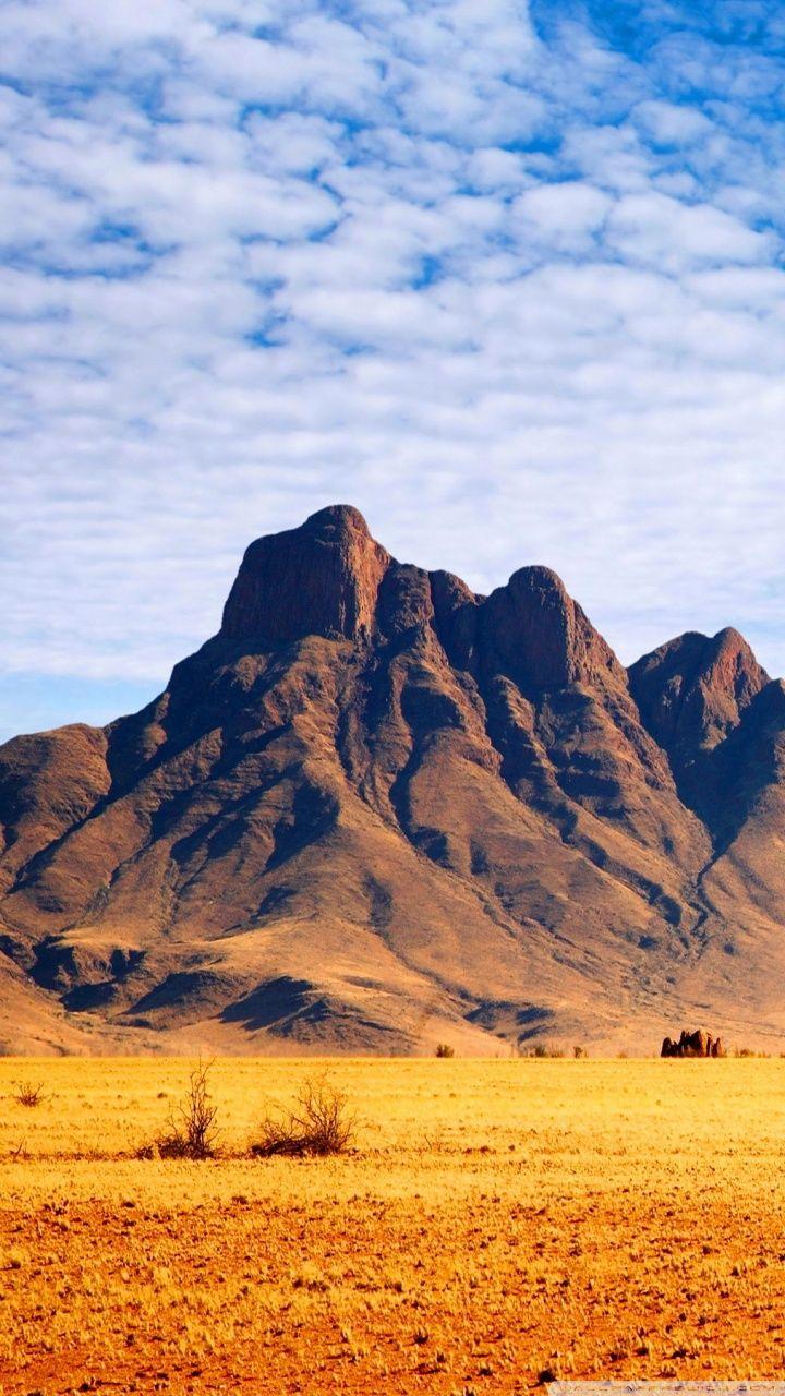 African Savanna Wallpaper