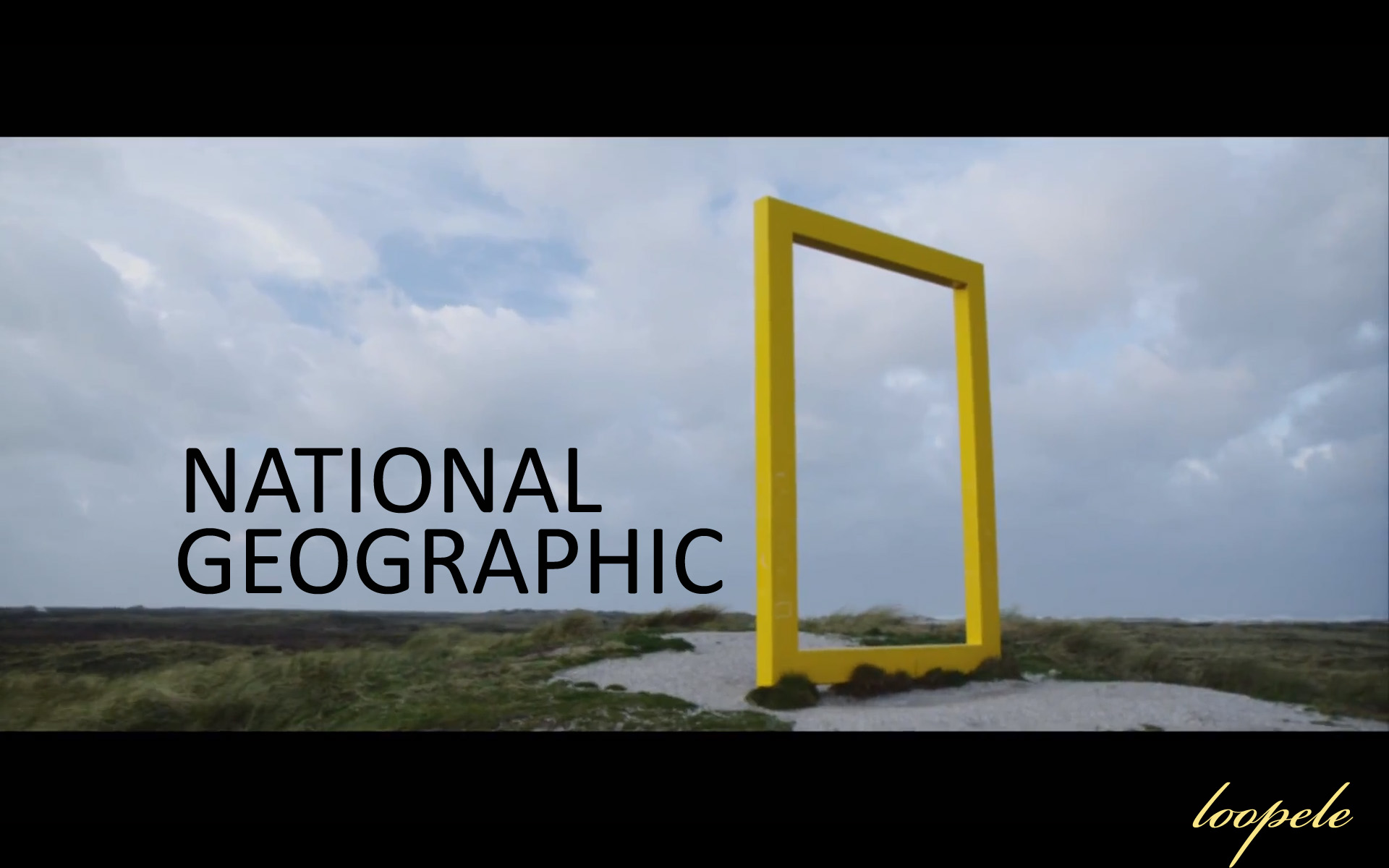 File Name National Geographic Logo Wallpaper