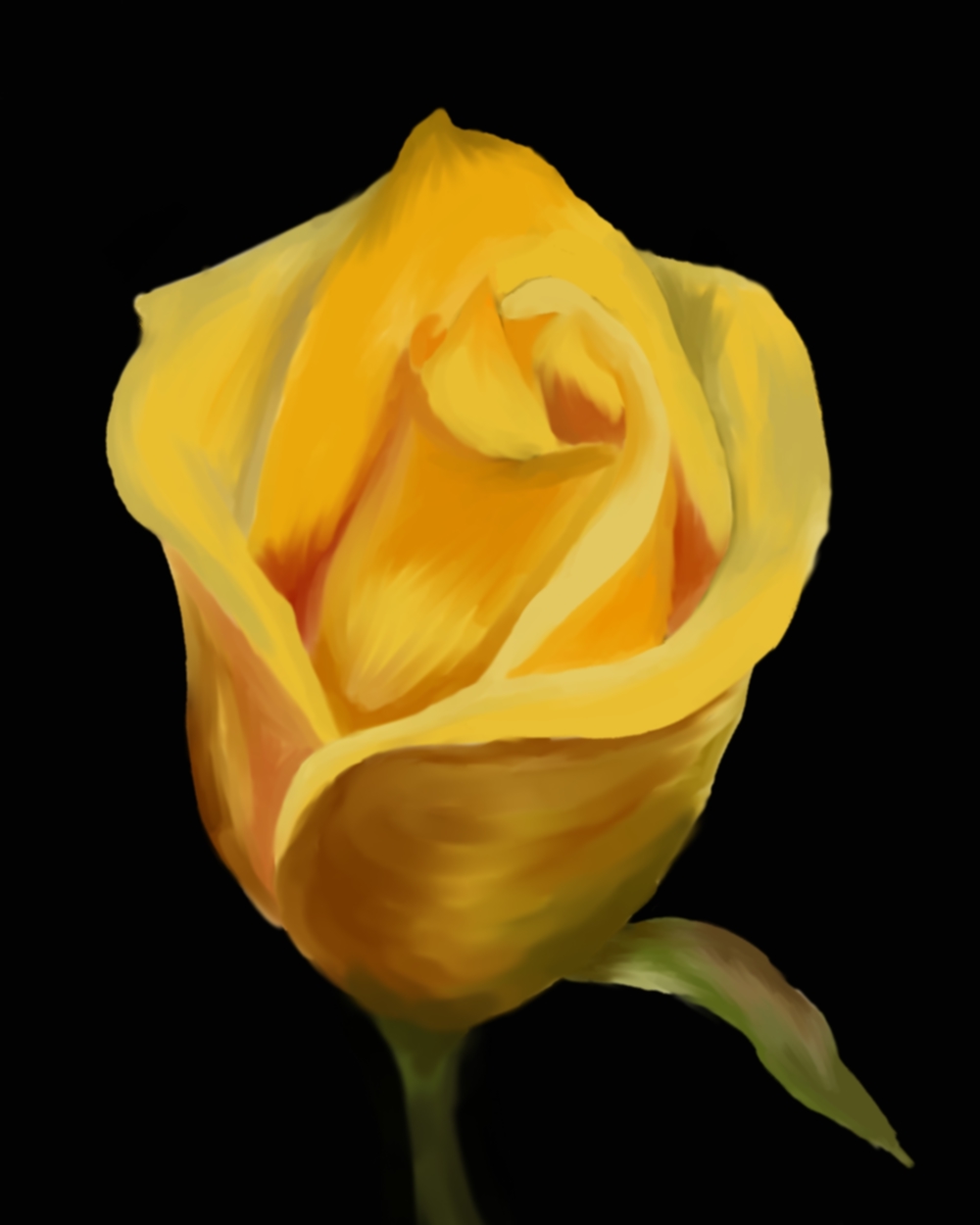Madasa Deviantart Yellow Rose By