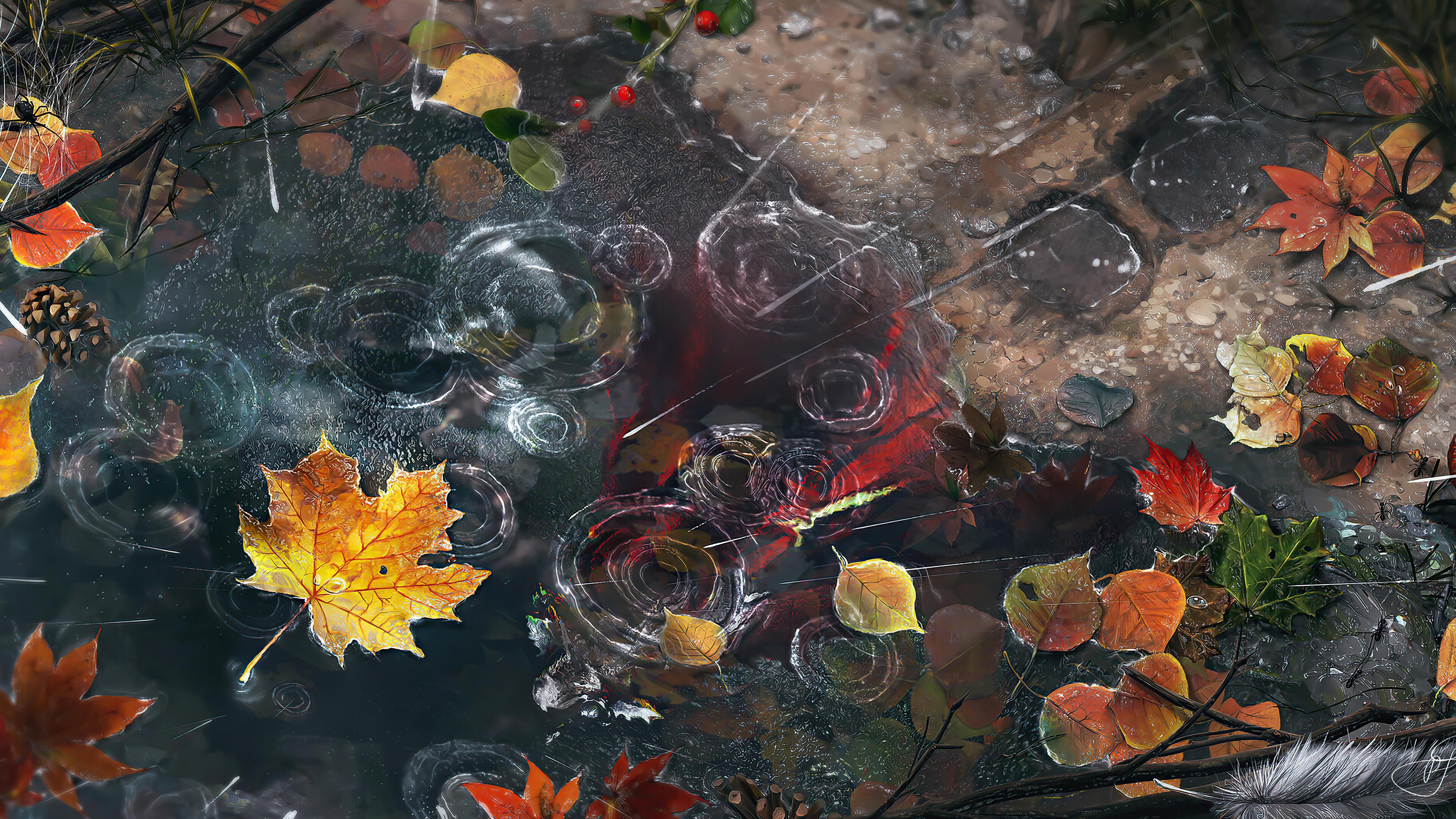 Rain Drop Autumn Leaves Art HD 4k Wallpaper