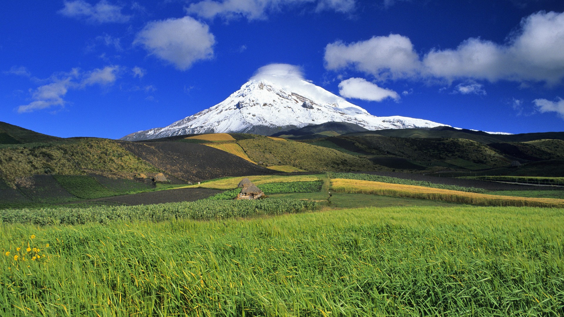 Ecuador Wallpaper Wallpoper