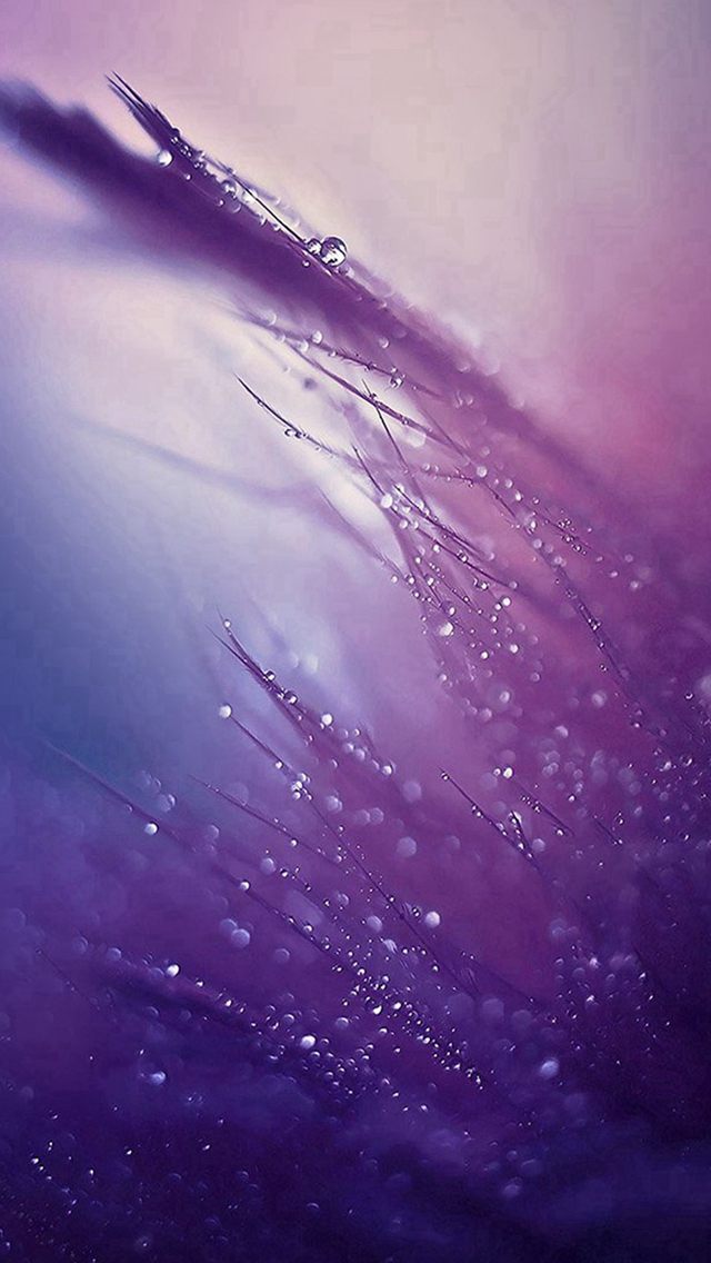 [45+] Purple Rain iPhone Wallpapers | WallpaperSafari
