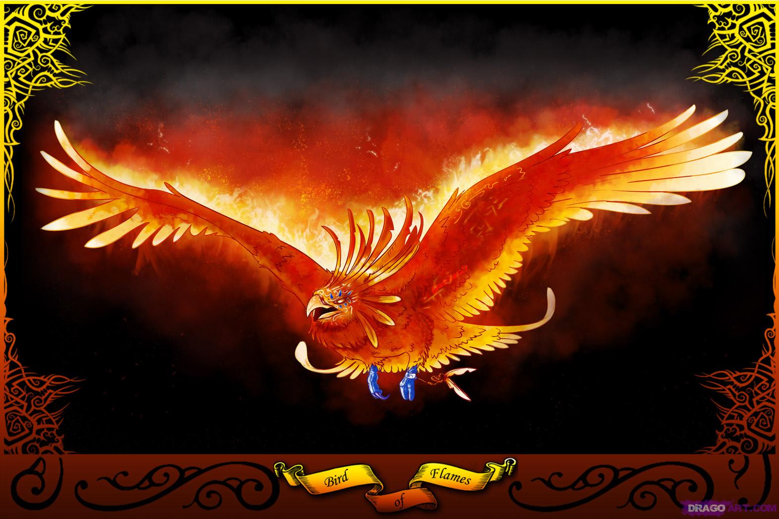 Full Wallpaper Phoenix Bird