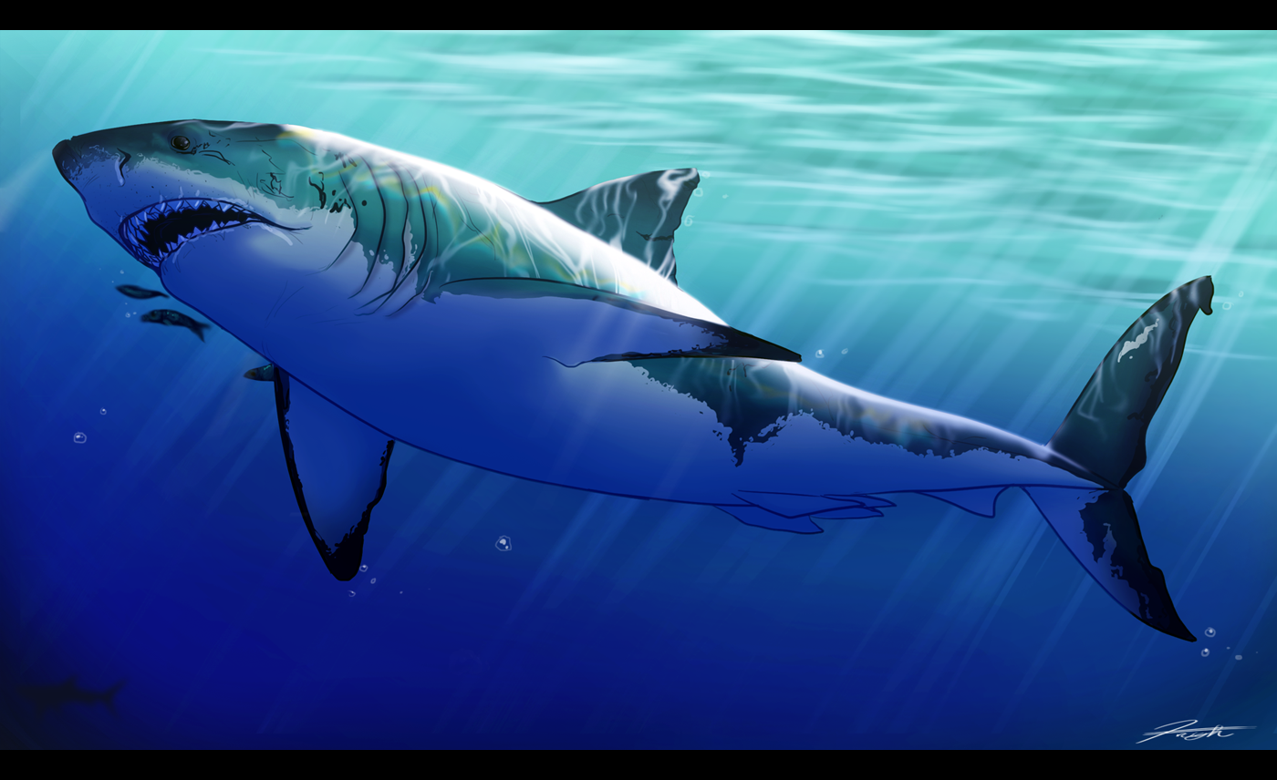 Great White Shark by DJCoulz on