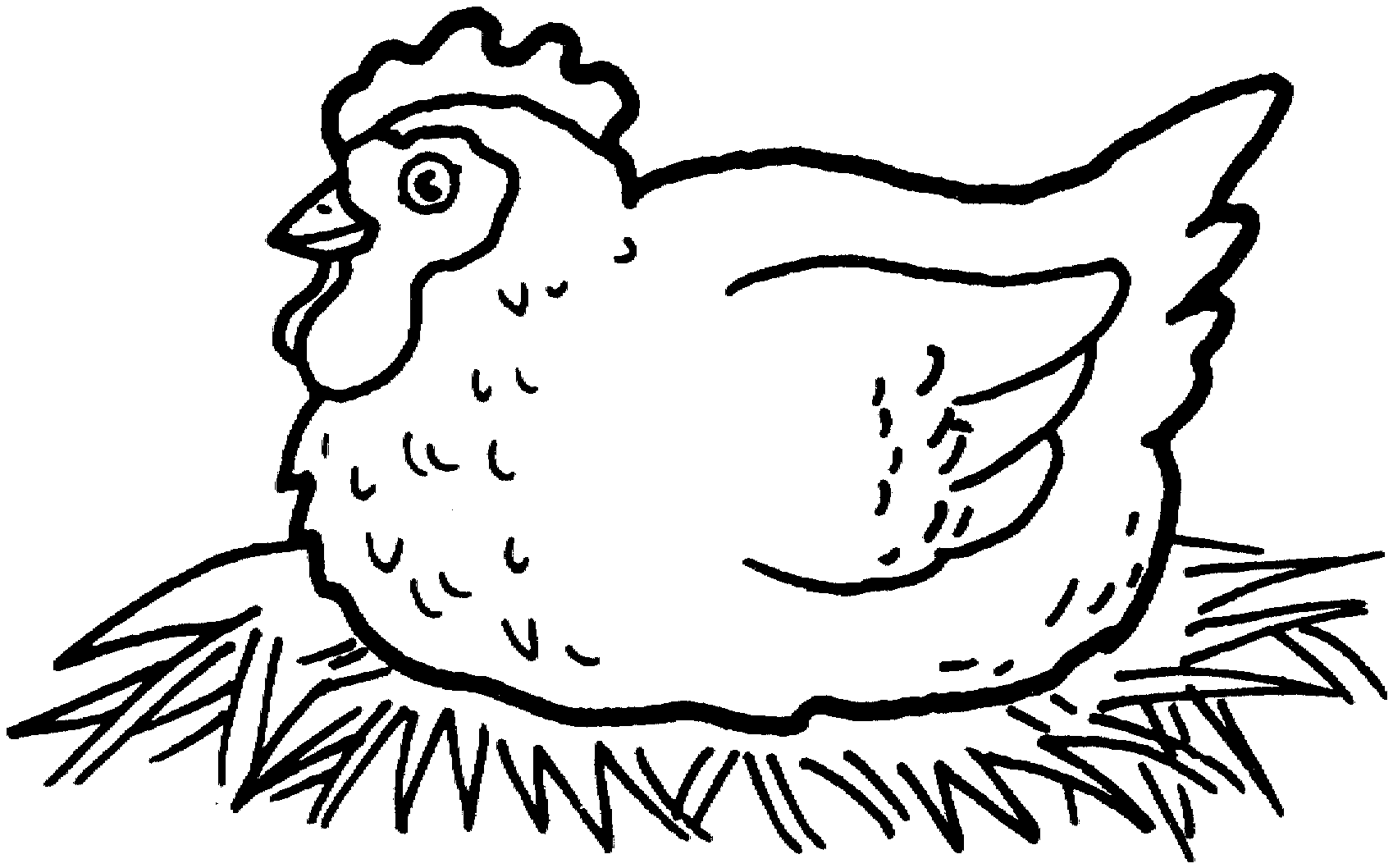 Chicken Coloring S Pictures
