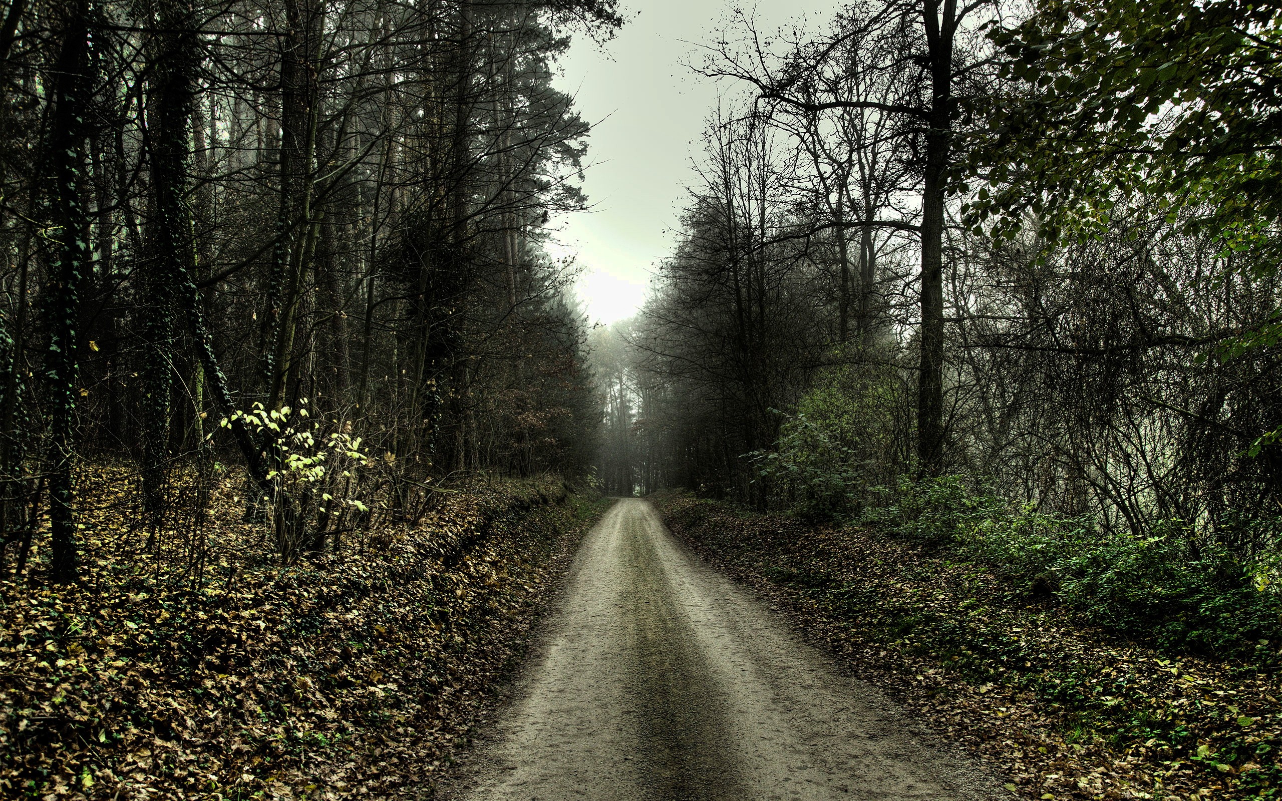 Best Eerie Background Wallpaper