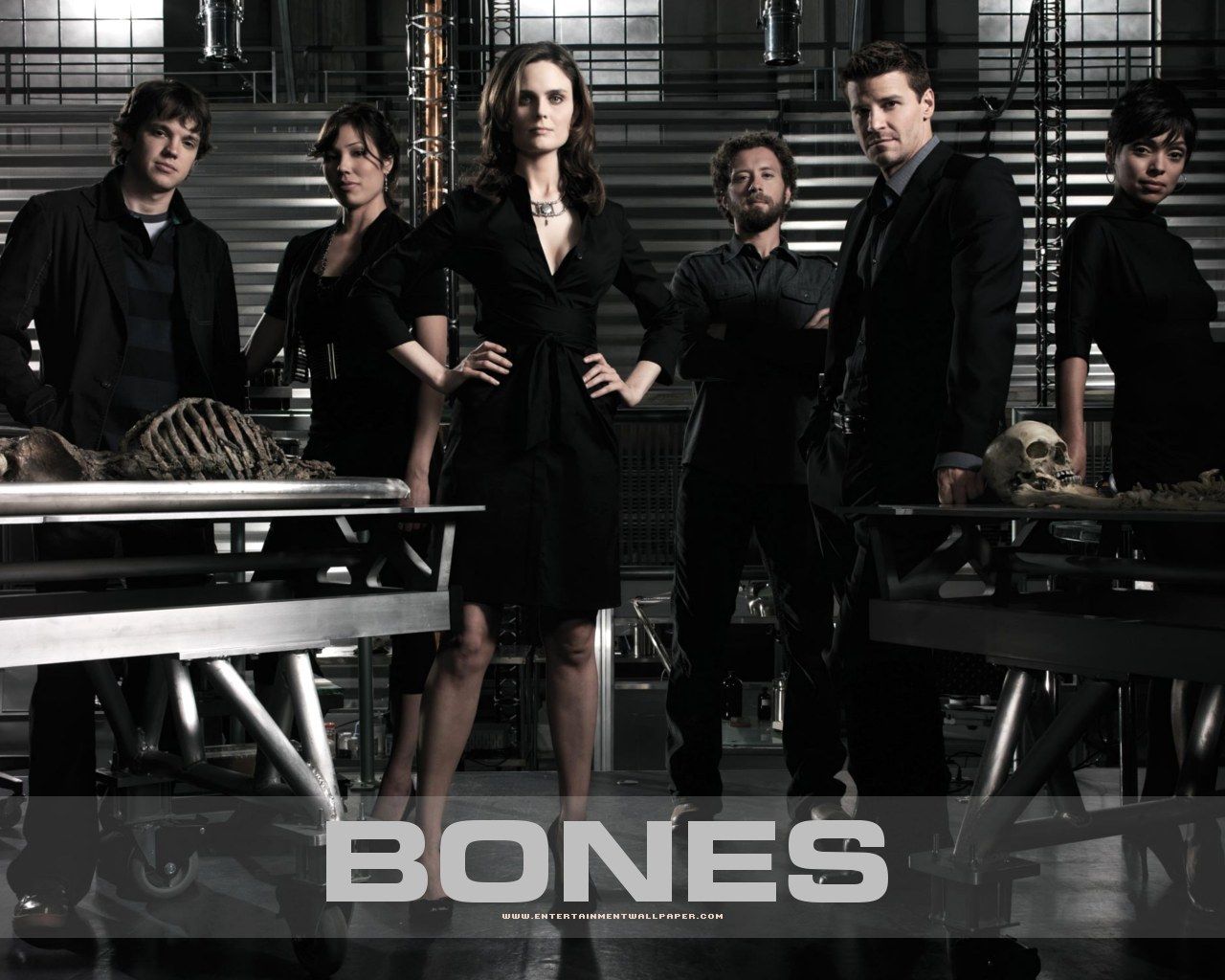 Image Of Bones Tv Show Series HD Poster Wallpaper