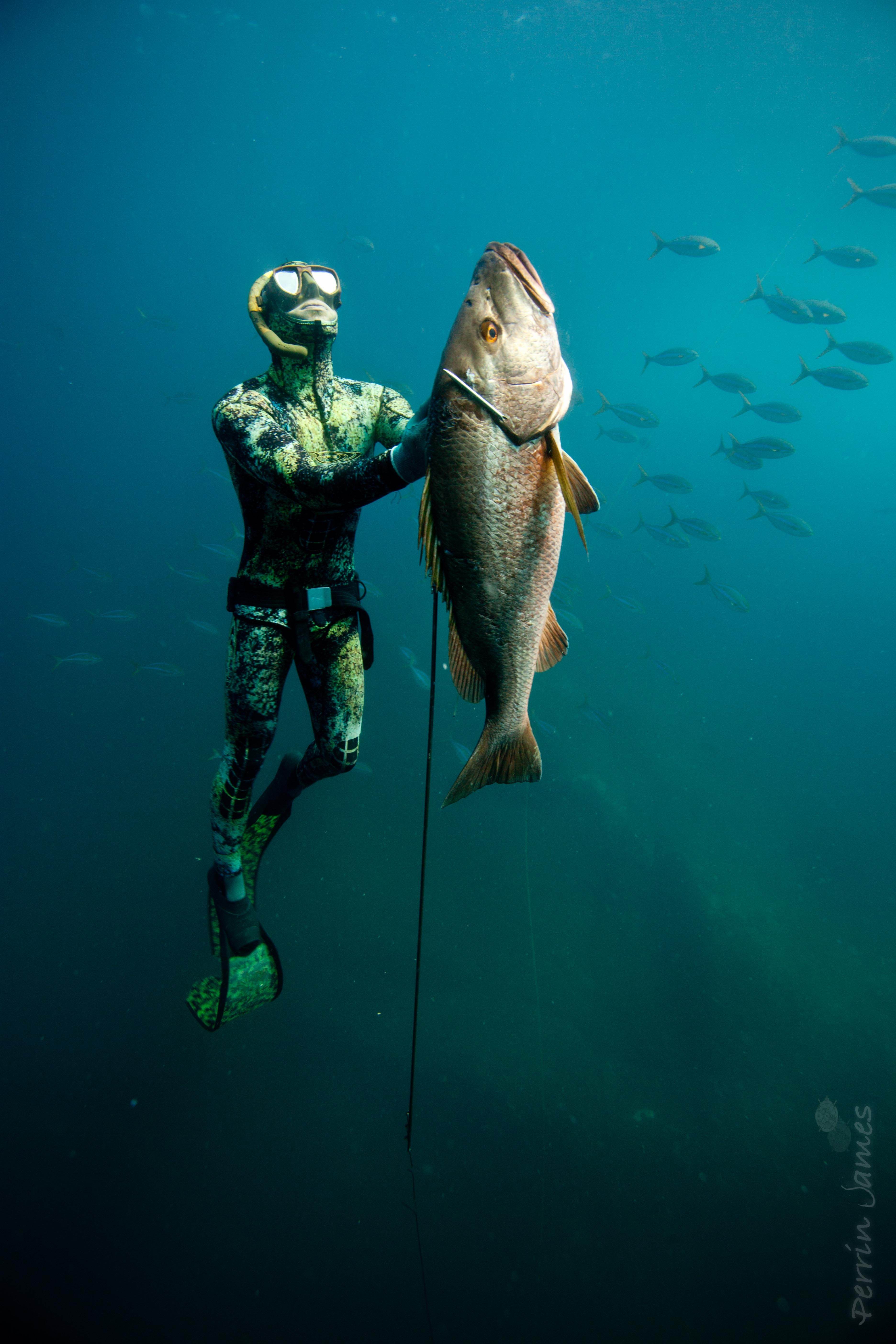 Photo Spearfishing Panama
