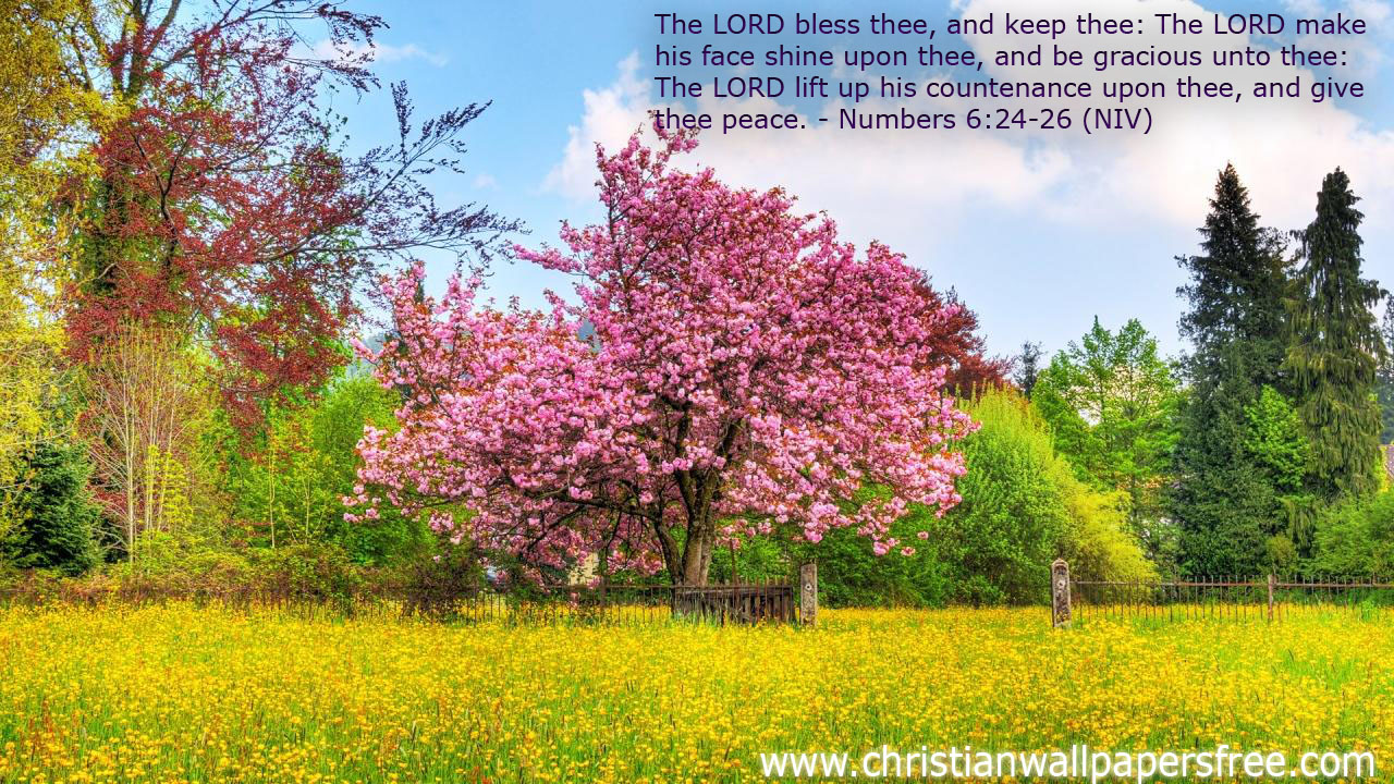 Card Wallpaper Blessing Bible Verses Nature
