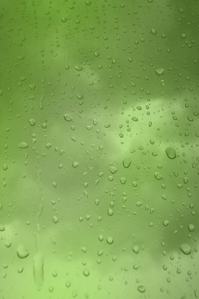 Lovely rain drops in greenish color variation