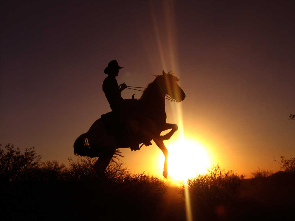 Cowboy Nature Wallpaper Image Featuring Sunrises And Sunsets
