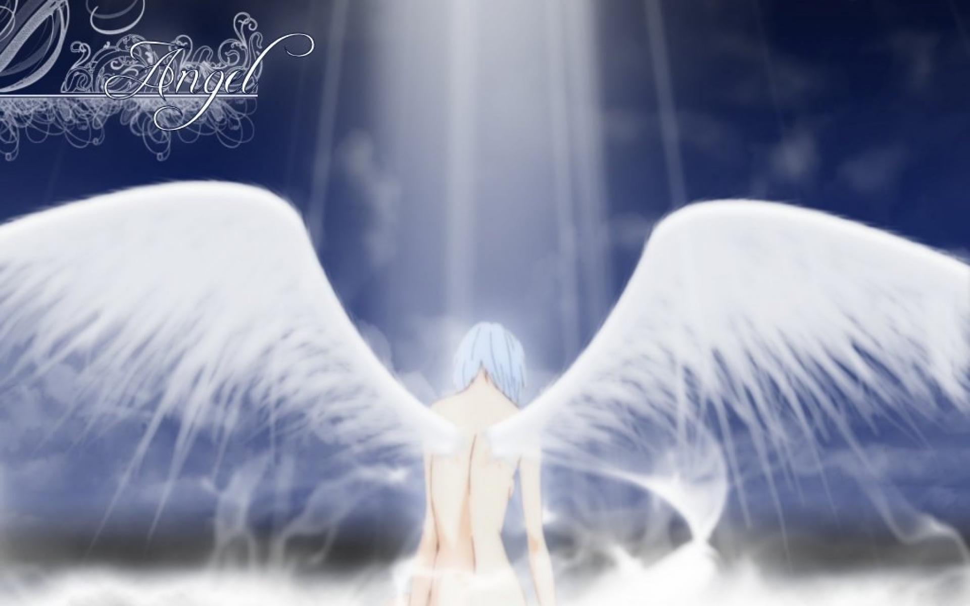 Rei Angel Wings Light Manga Anime HD Wallpaper