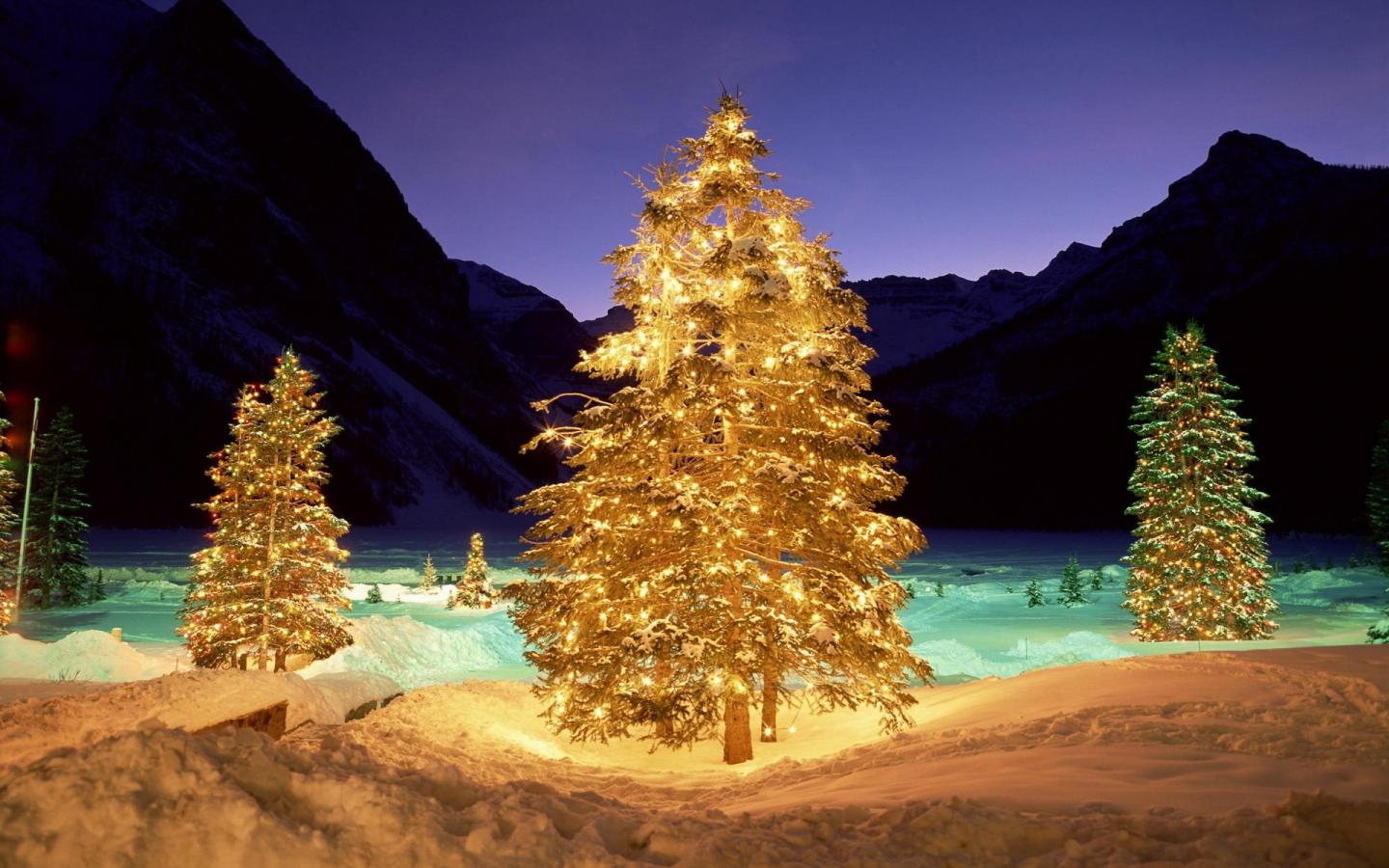 Christmas Tree Wallpaper Widescreen HD In Celebrations