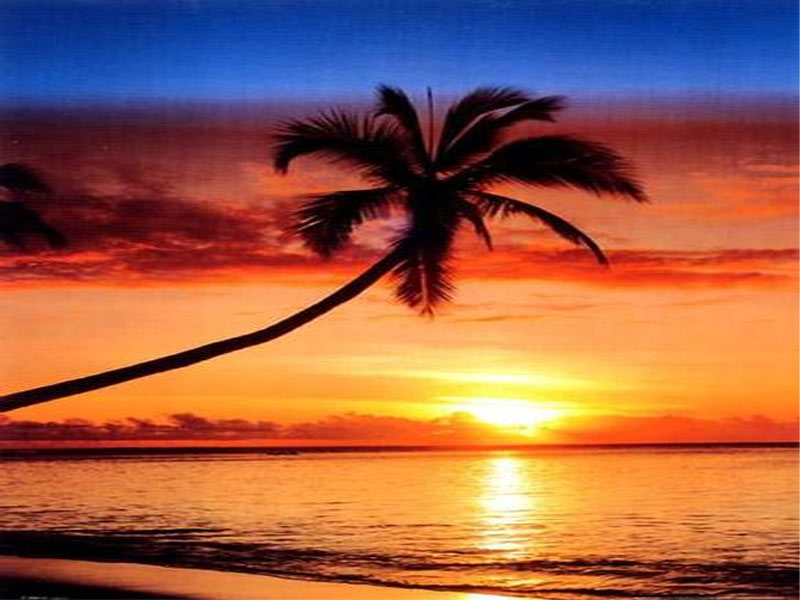 Wow 30 Gambar Pemandangan Pantai  Lukisan  Senja Simple  