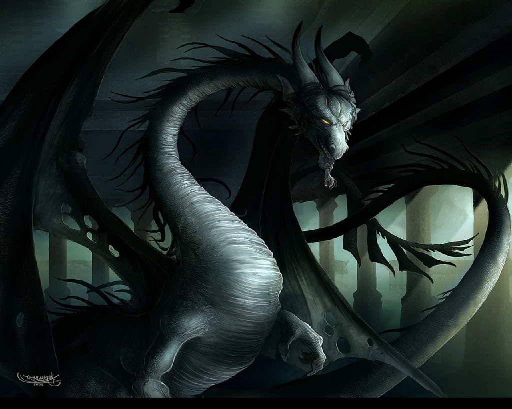 Black Dragon Widescreen Wallpaper