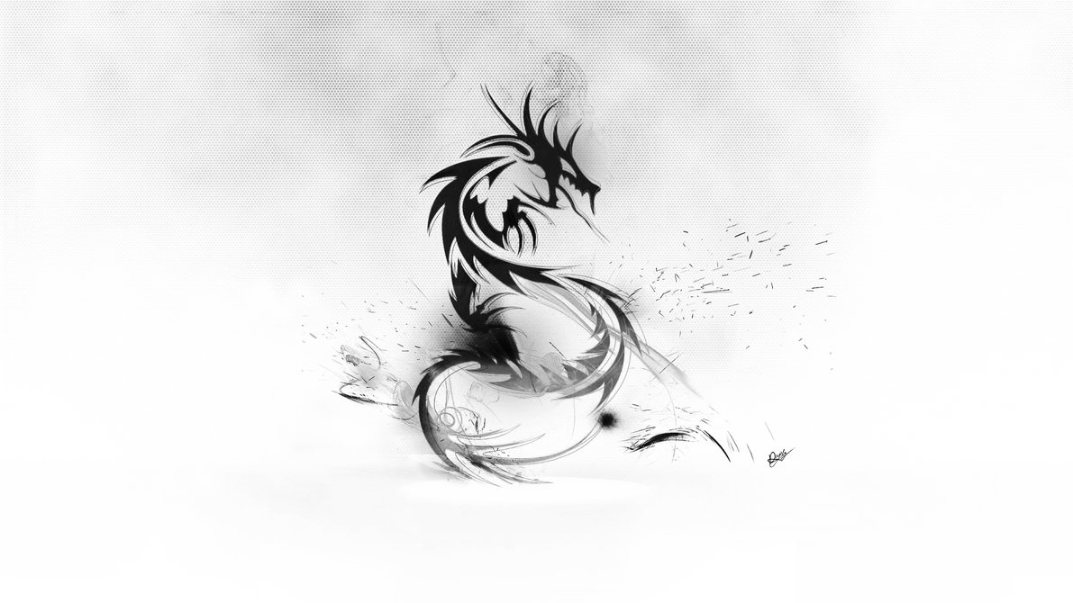 Abstract Dragon Wallpaper Black White By Maciekporebski On