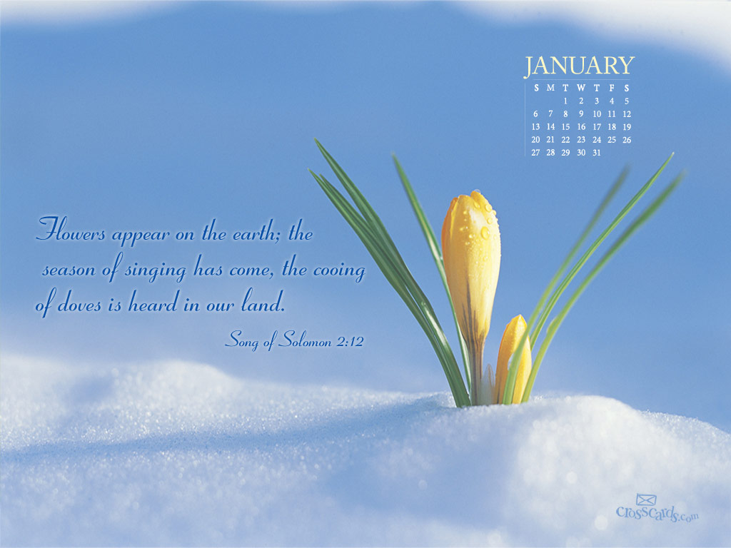 Christian Calendar Wallpaper January