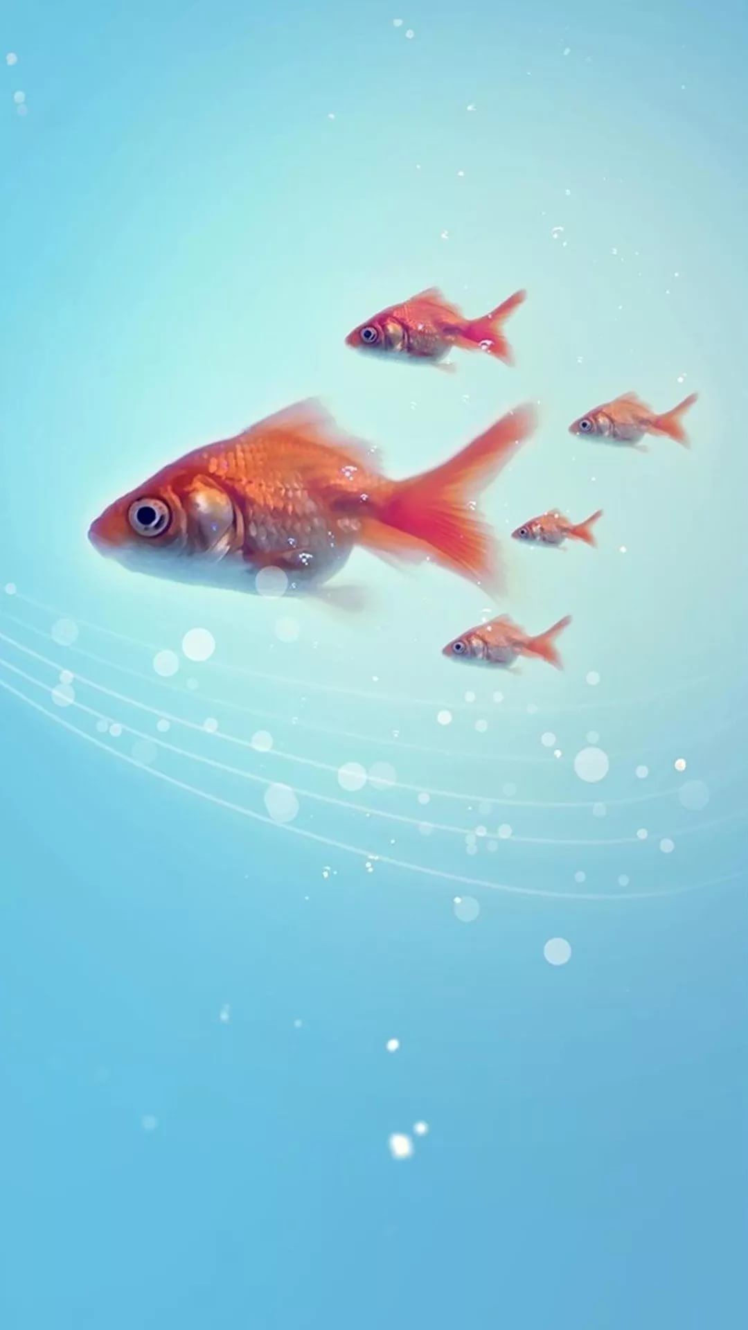 Fishing Wallpaper For iPhone