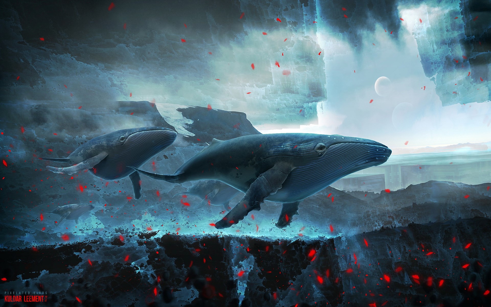 Blue Whale Wallpaper