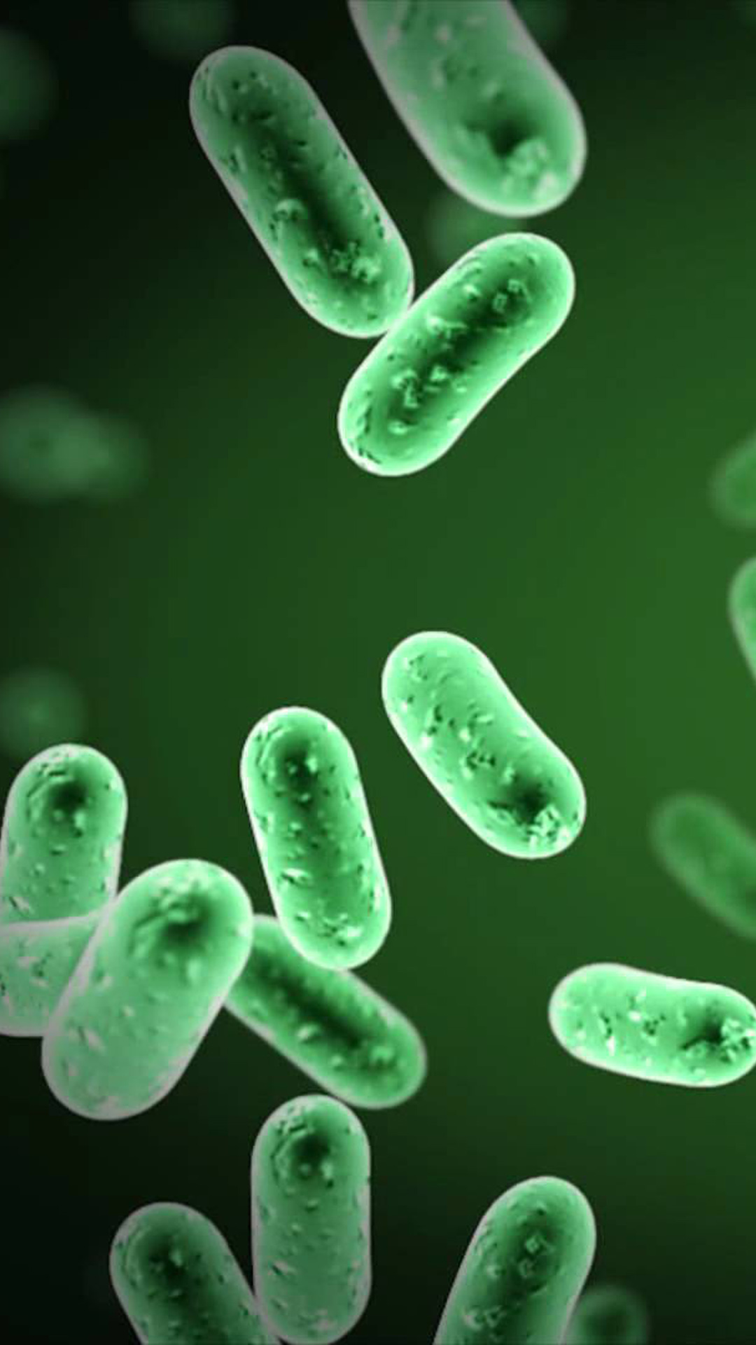 Wallpaper Bacteria Ameba Vector Images 44