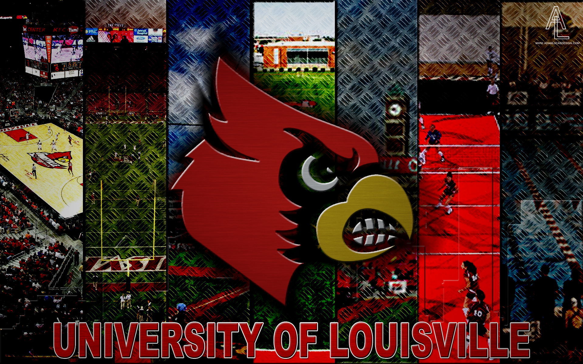 Louisville Cardinals Football Logo