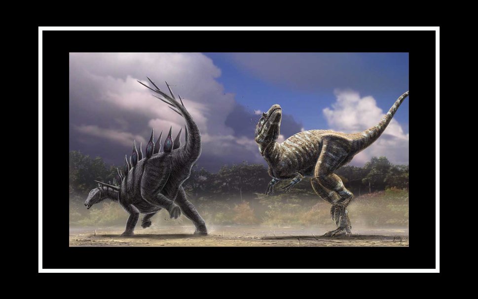 Allosaurus Fragilis Wallpaper