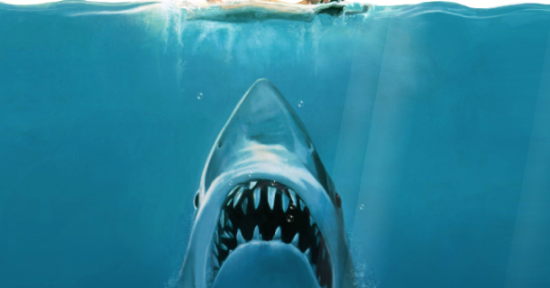 Shark Attack Screensaver Screensavergift