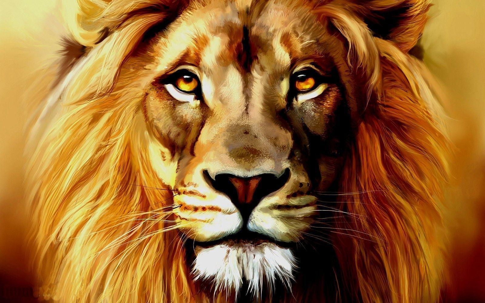 Angry Lion Face Wallpaper Gallery