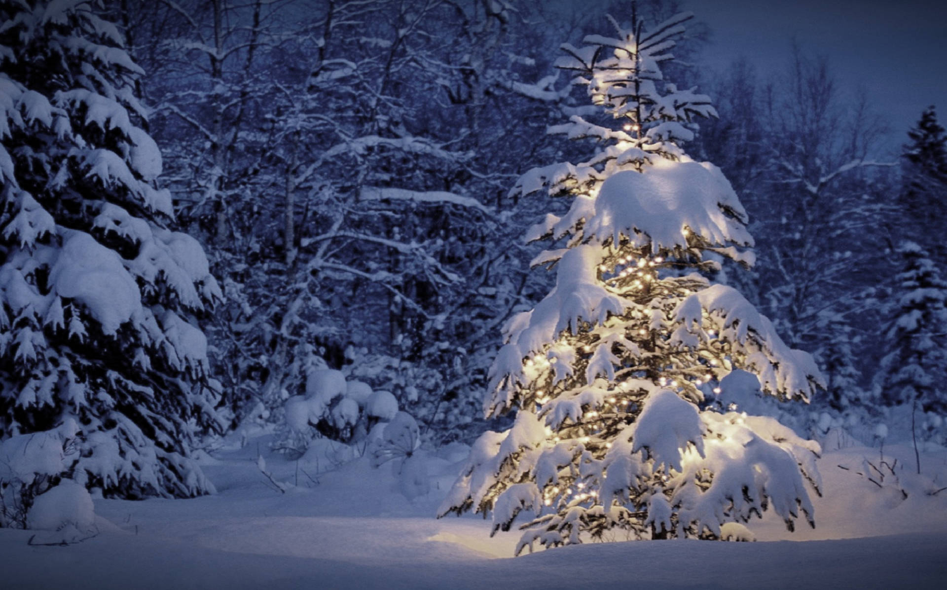 Christmas Vacation Wallpaper