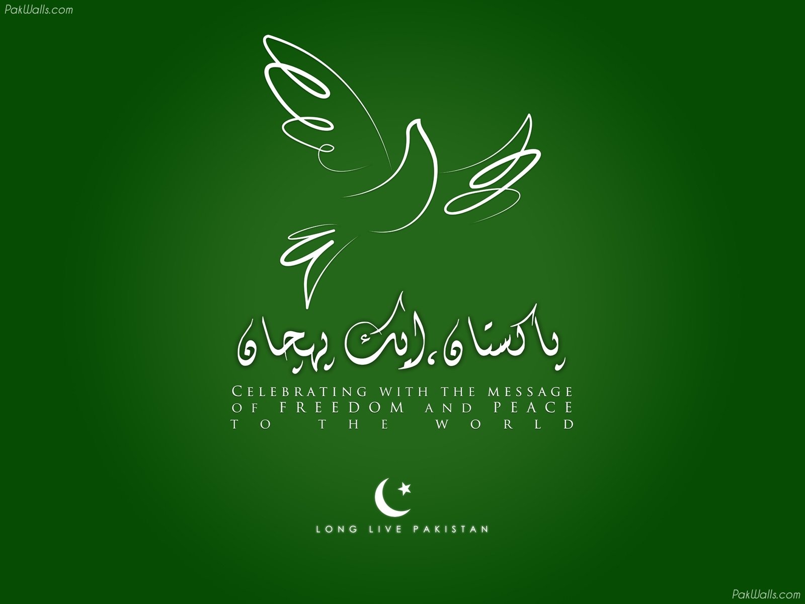 26 Beautiful Pakistan Independence Day Wallpapers 2012 Wallpapers