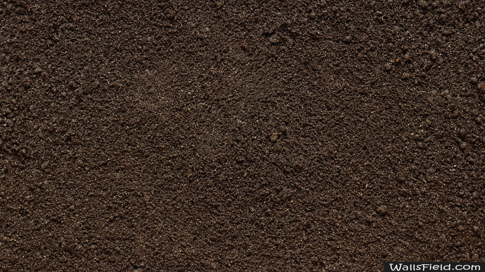 Soil Wallpaper Wallsfield HD Dirt