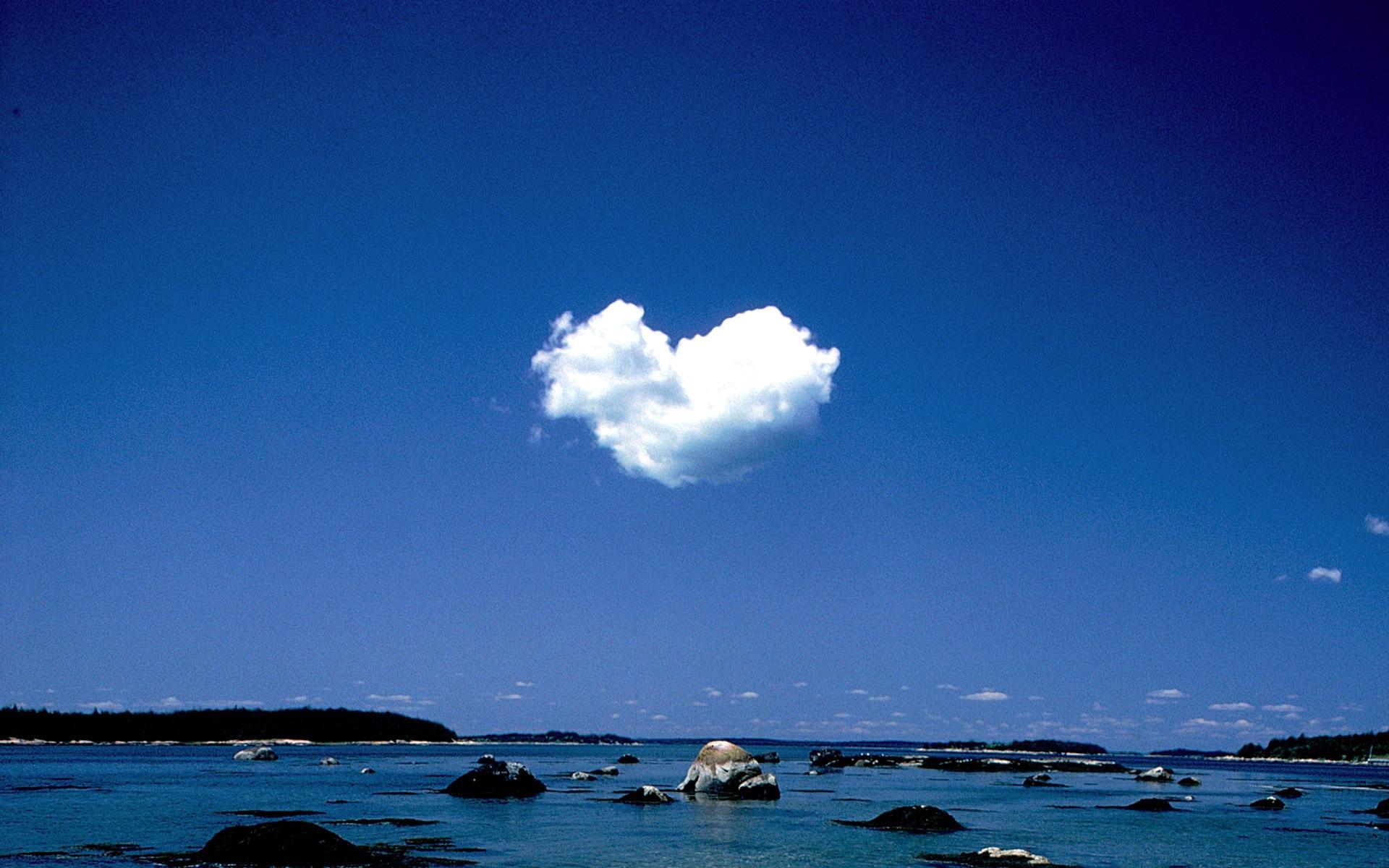 Nature Love Wallpaper HD