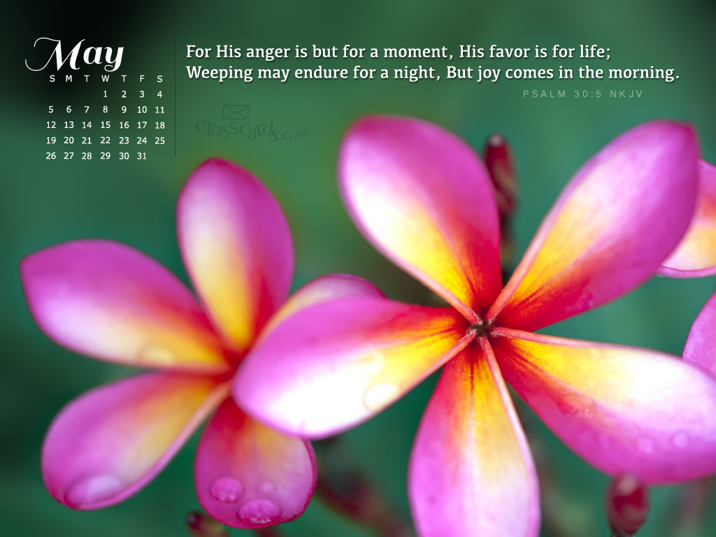 May 2013   Psalm 305 NKJV Desktop Calendar  Free Monthly Calendars