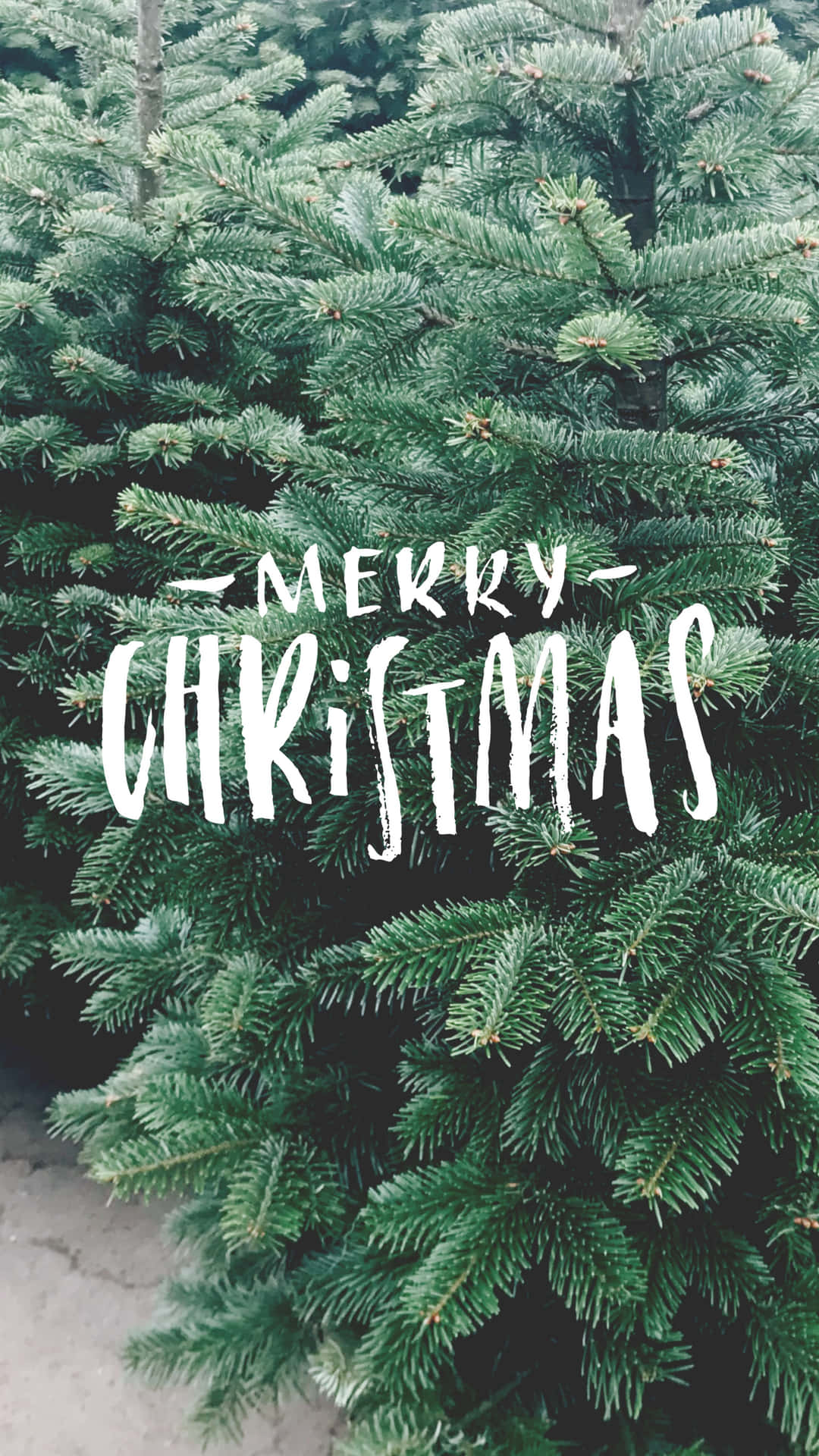 Christmas iPhone Wallpaper