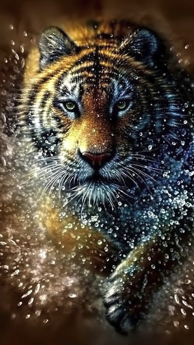 Tiger Splash iPhone 5 Wallpaper 640x1136